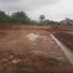 waterlogged site