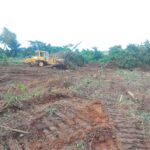 Bulldozer levelling site