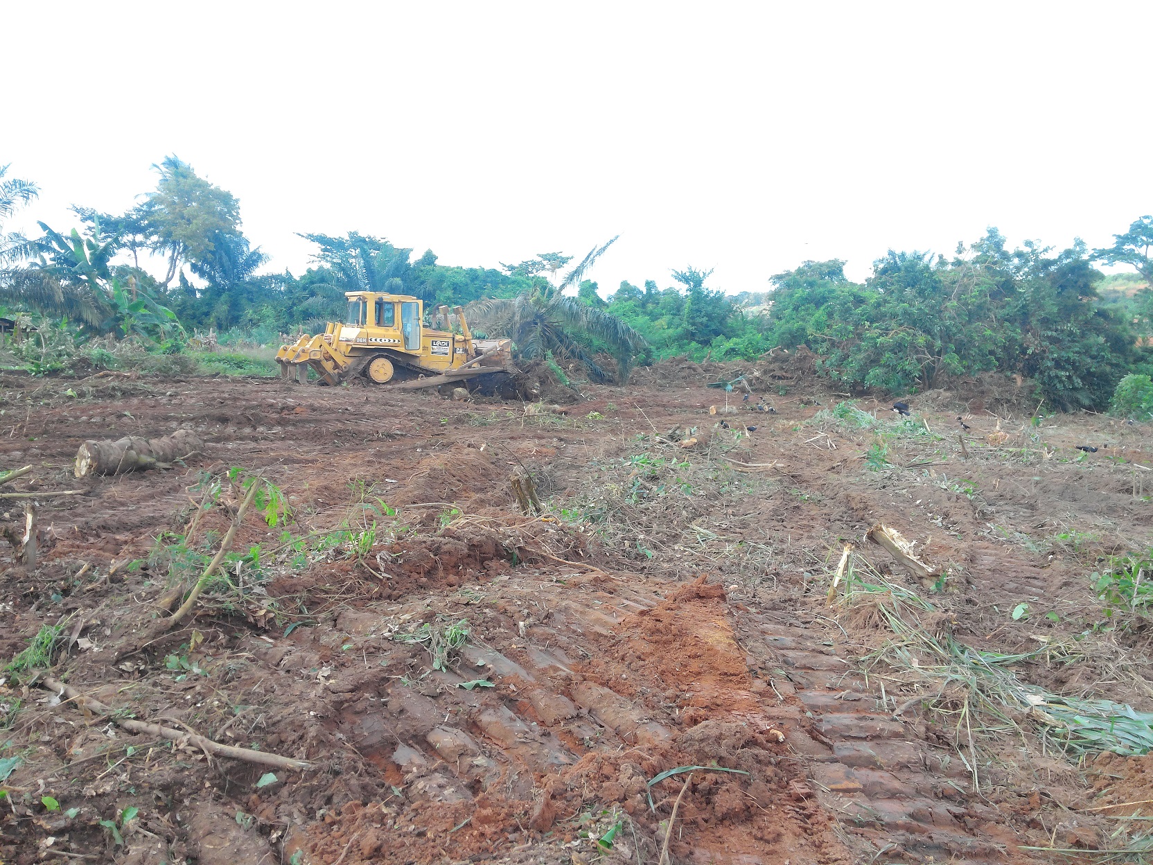 Bulldozer levelling site