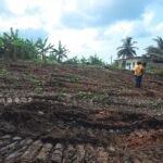 Levelling site for kindergarten