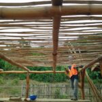 checking eaves