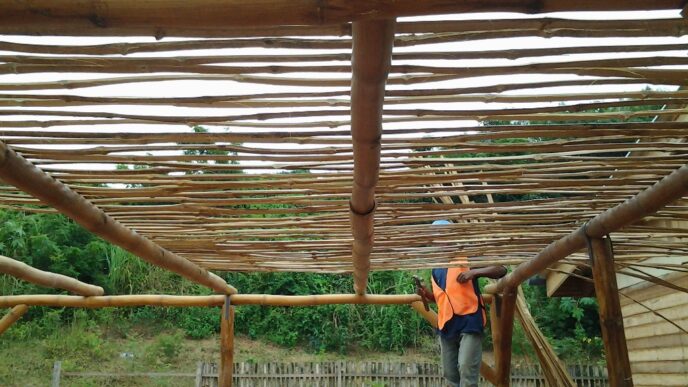 checking eaves