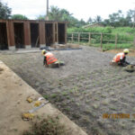 image: planting outside classroom